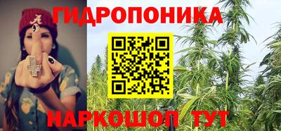 прущие грибы Лесосибирск